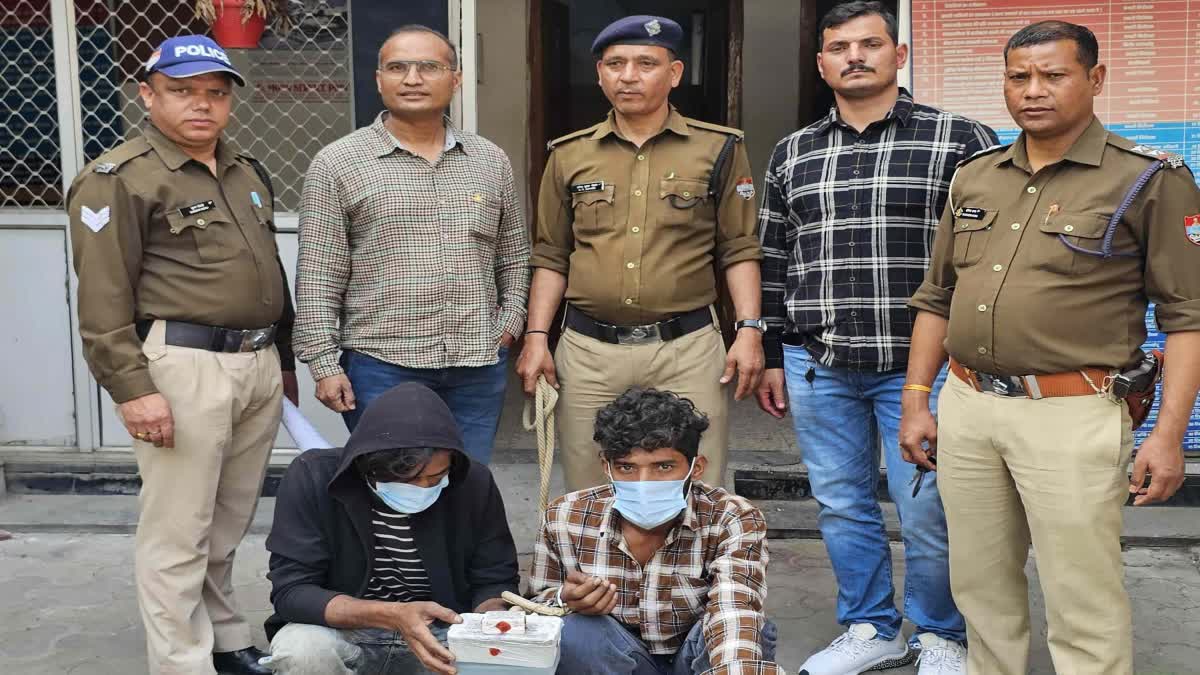 हादसे में मदद की जगह लूट: मृत युवक की अंगूठी और मोबाइल चुराने वाले दो युवक गिरफ्तार.