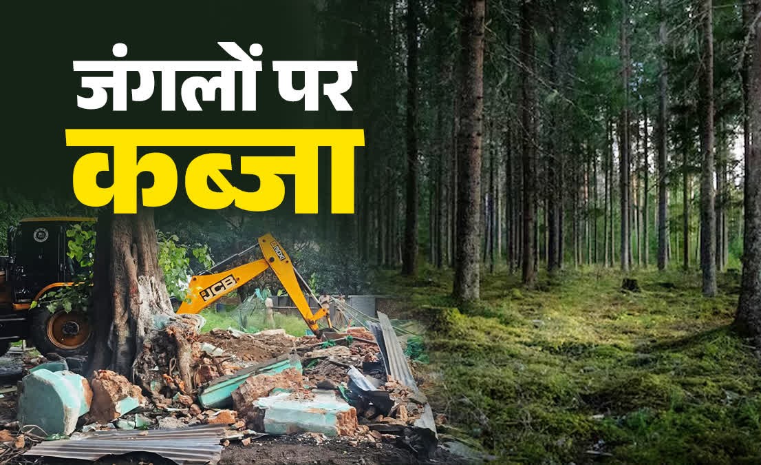 उत्तराखंड में रिजर्व फॉरेस्ट पर अवैध कब्जा बना बड़ी चुनौती, कुमाऊं का तराई क्षेत्र सबसे प्रभावित.