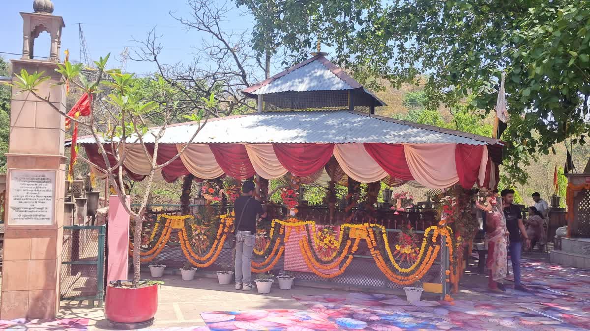 राजाजी टाइगर रिजर्व में मंत्री के बेटे की शादी पर बवाल: वन निदेशक पर फोड़ा ठीकरा, मंदिर समिति पर मुकदमा दर्ज.