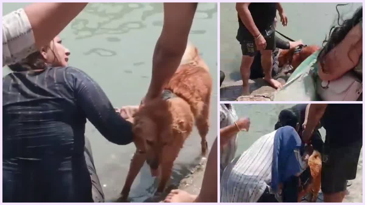 गंगा में कुत्ता नहलाने को लेकर हंगामा, विरोध करने पर उल्टा उलझने लगी महिला यात्री