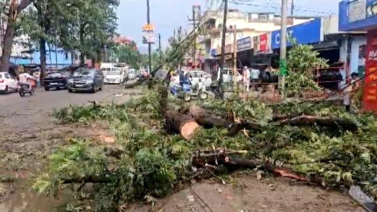उत्तराखंड में आंधी-तूफान ने मचाई तबाही, भारी बारिश से गिर पेड़