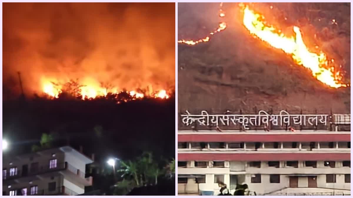 पौड़ी में केंद्रीय संस्कृत विश्वविद्यालय परिसर तक पहुंची जंगल की आग, लोगों में मची अफरातफरी