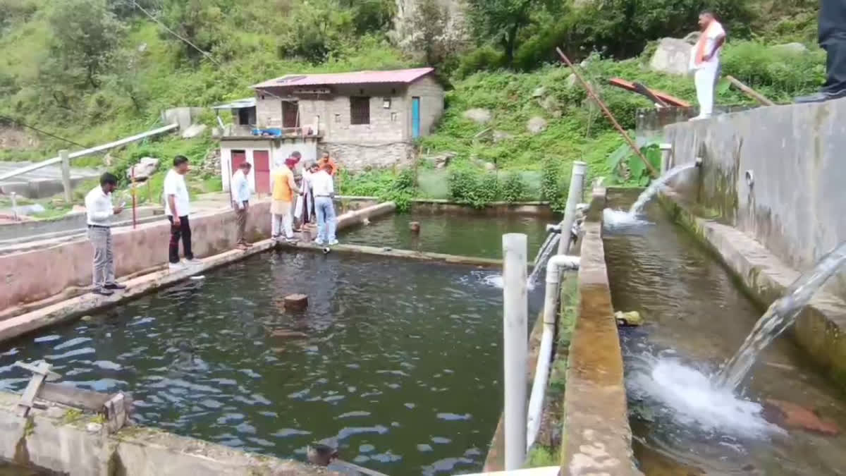 शहर की नौकरी छोड़ गांव लौटे दिनेश, ट्राउट फिश पालन से हर साल कमा रहे लाखों रुपये