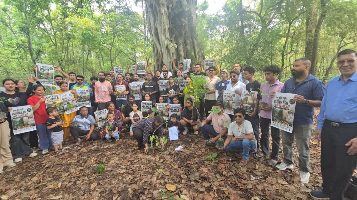 भनियावाला–ऋषिकेश सड़क चौड़ीकरण परियोजना में 3,000 पेड़ों की कटाई पर फिलहाल रोक