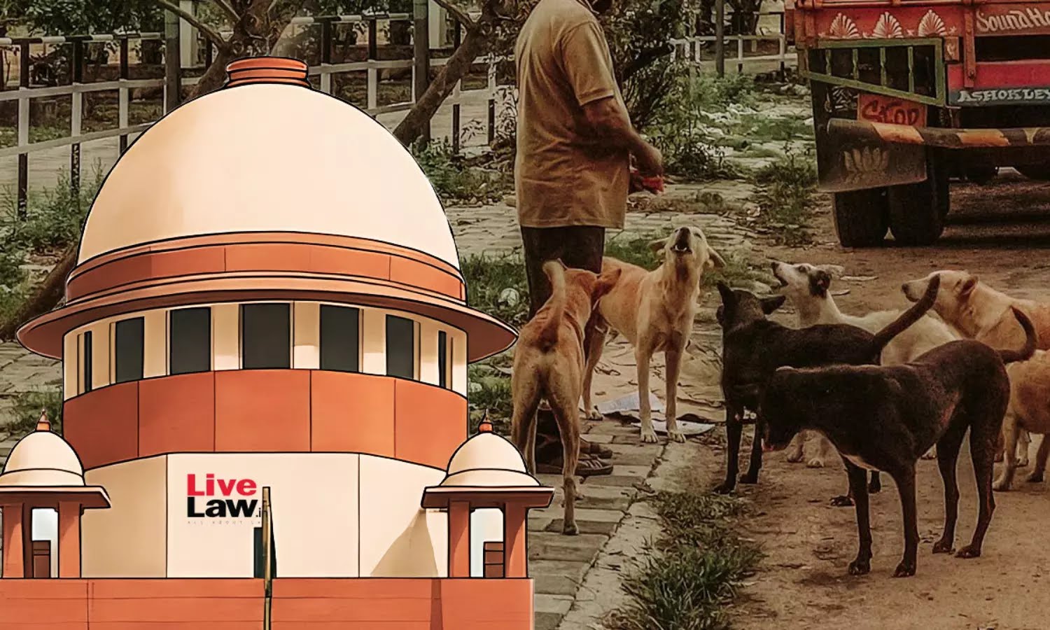 नसबंदी और टीकाकरण के बाद छोड़े जाएंगे आवारा कुत्ते, आक्रामक कुत्ते रहेंगे शेल्टर होम में: सुप्रीम कोर्ट