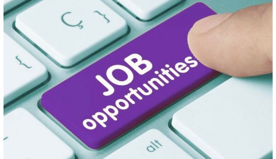 JOB: चम्पावत केंद्रीय विद्यालय में निकली बम्पर पदों पर भर्ती, देखिए विषयवार वैकेंसी