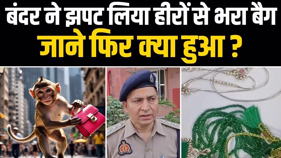 20 लाख का लुटेरा निकला बंदर !