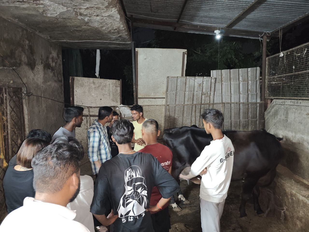 उत्तराखंड: गोवंशीय पशुओं की बदहाली पर सवाल, देहरादून में डेरी मालिकों की लापरवाही से बेजुबान गाय के बच्चे की मौत, 3 दिन तक बगीचे में सड़ता रहा शव