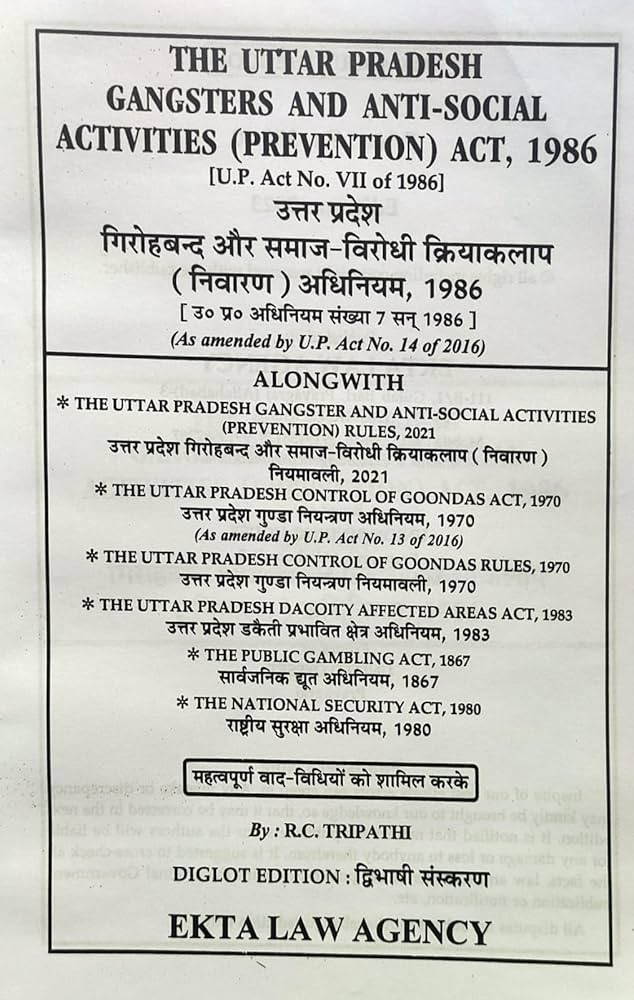 गिरोह बनाकर डर फैलाने वाले को 2 साल की सजा, कोर्ट ने लगाया जुर्माना