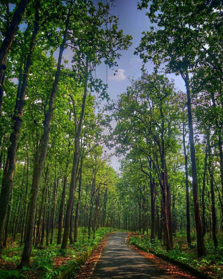 खलंगा वन: स्थानीय लोगों द्वारा स्थल पर फिर विरोध प्रदर्शन