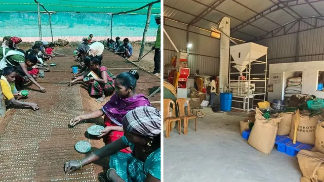 नक्सल प्रभावित क्षेत्र से वैश्विक ब्रांड तक: अराकू घाटी की कॉफी ने बदली आदिवासी किसानों की तकदीर
