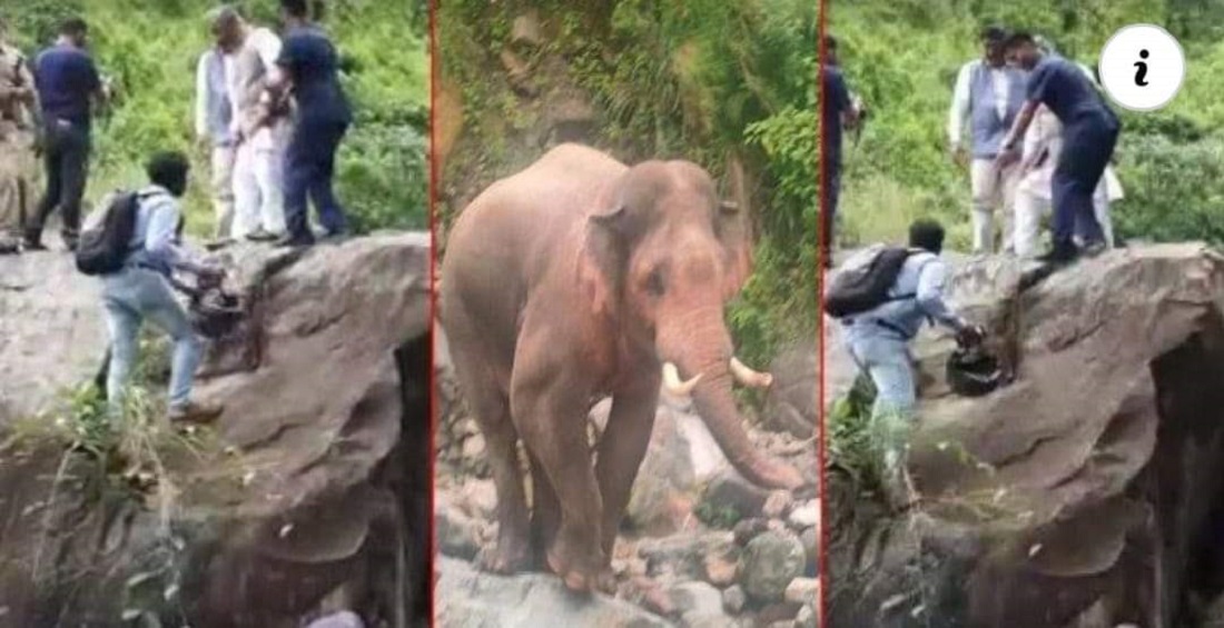 उत्तराखंड के पूर्व सीएम त्रिवेंद्र की गाड़ी के आगे आया हाथी, वाहन छोड़ चट्टान पर चढ़कर बचाई जान.