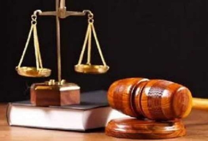चाय बागान की भूमि के दस्तावेजों के छेड़छाड़ मामले में केस दर्ज, नौ रजिस्ट्रार और 28 लिपिक जांच के घेरे में: