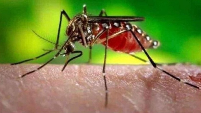 डेंगू महामारी: बच्चों को आफत से बचाने के उपाय