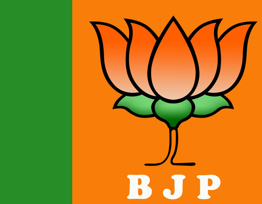 यूपी बीजेपी में सियासी हलचल,,बड़ा फैसला लेने की तैयारी.?