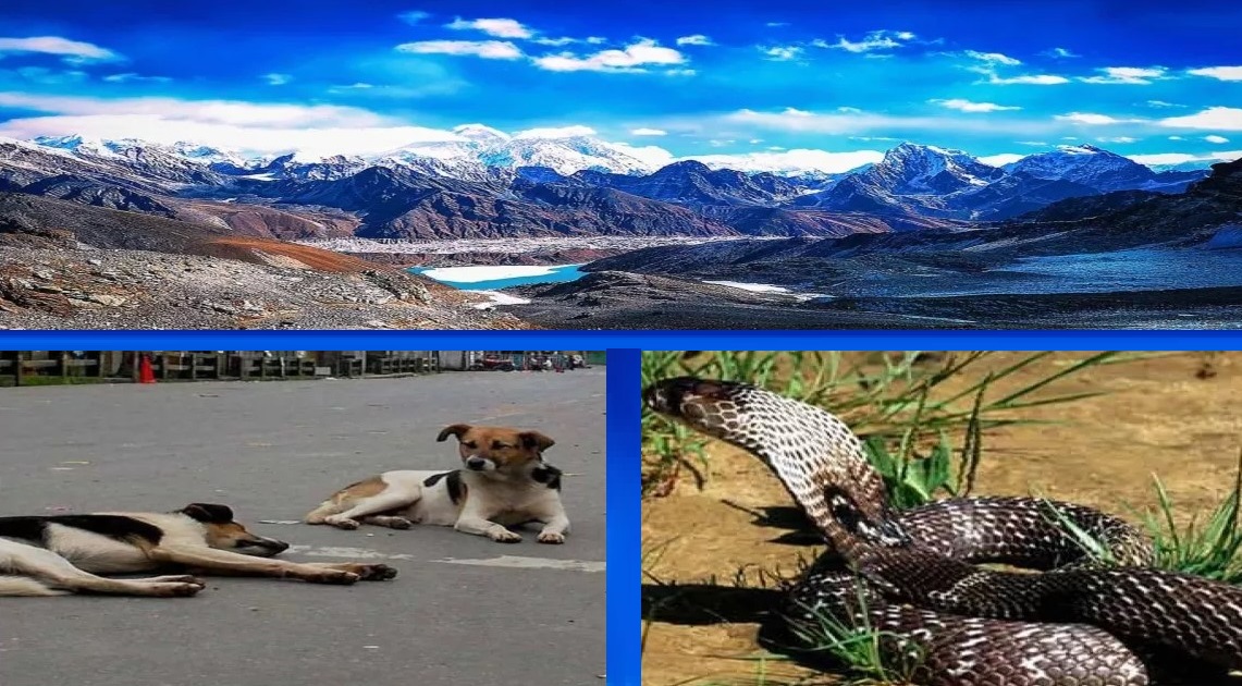 आज की खास रिपोर्ट,,,भूकंप आने से पहले मिलते हैं ये संकेत,,,जानिए और क्या..?