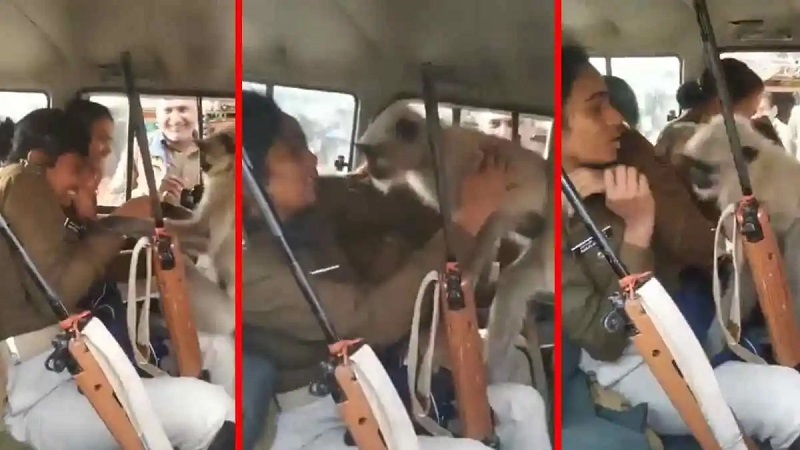 महिला पुलिसकर्मी से छेड़छाड़ करते हुए बंदर का विडियो हुआ वायरल....