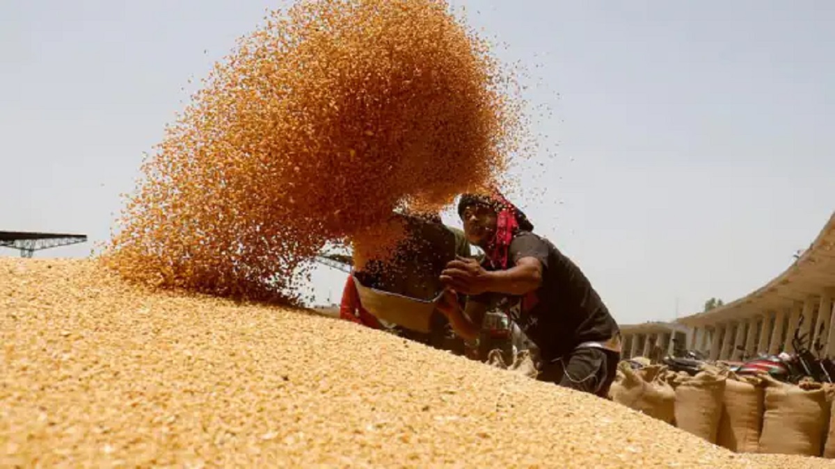 Wheat Export: गेहूं के लिए भारत के द्वार विदेशी सरकार, पांच इस्लामिक देशों ने किया अनुरोध