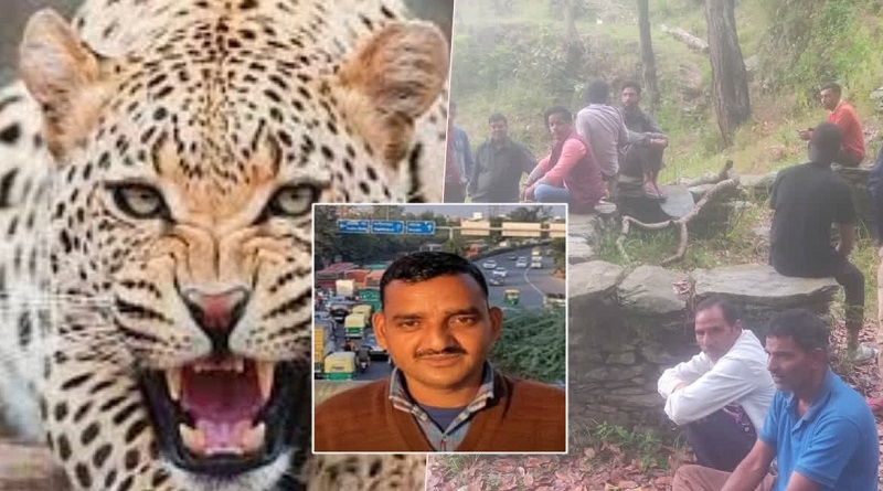 अल्मोड़ा में गुलदार ने युवक को बनाया निवाला, क्षेत्र में दहशत का माहौल: