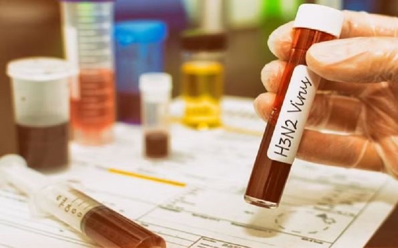 महाराष्ट्र में H3N2 का ‘प्रकोप, मुंबई में 32 मरीज भर्ती: