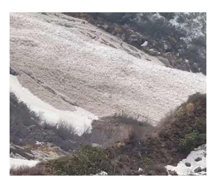 गर्मी की वजह से पिघलने लगे हिमखंड