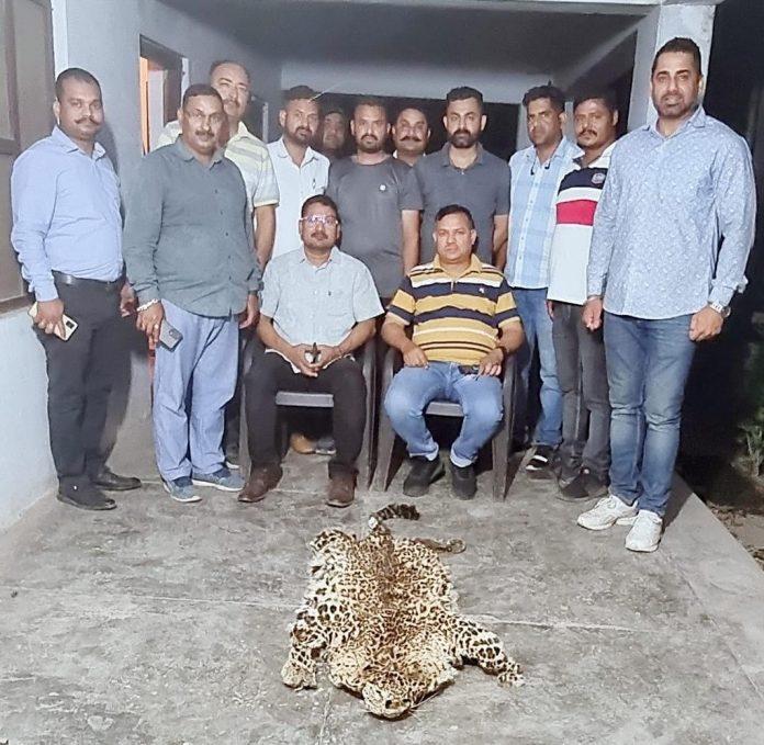 उत्तराखण्ड STF :- गुलदार की खाल के साथ तस्कर गिरफ्तार