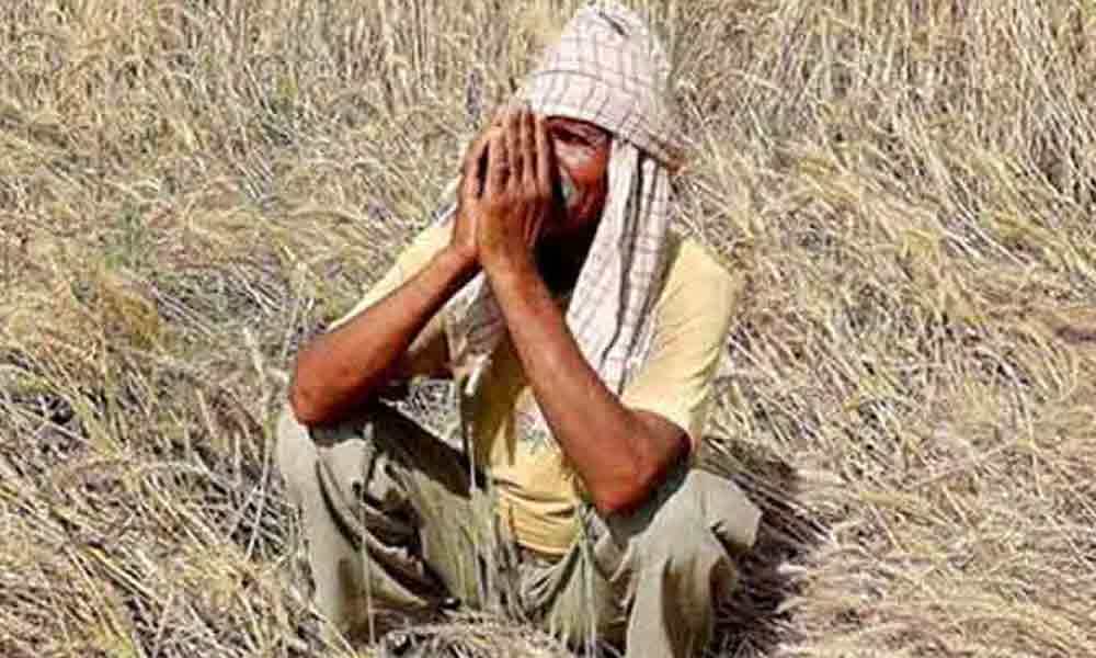 डोईवाला: गन्ना किसानों का बकाया भुगतान न होने से आर्थिक संकट से जूझ रहे किसान
