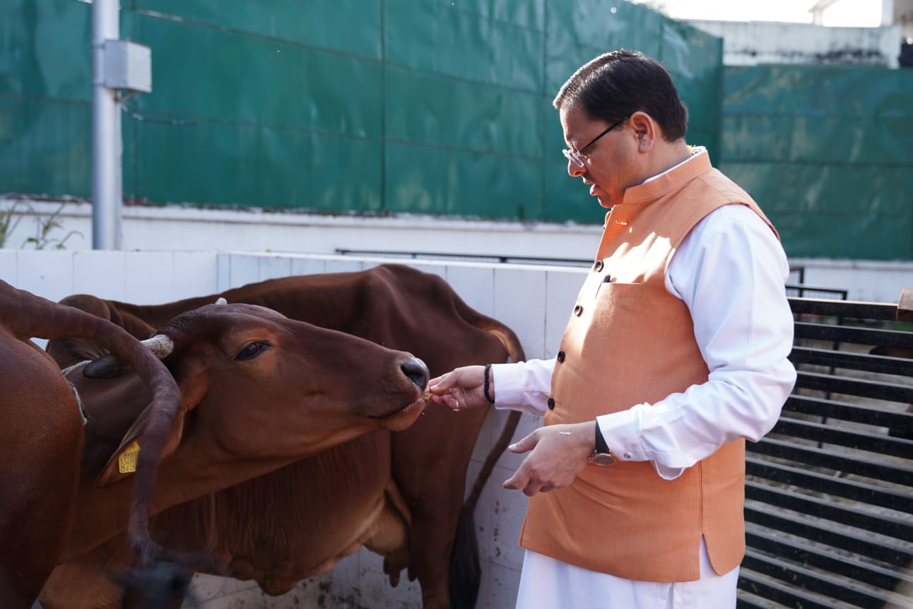 मुख्यमंत्री पुष्कर सिंह धामी ने गोवर्धन पूजा के अवसर पर मुख्यमंत्री आवास में की गायों की पूजा