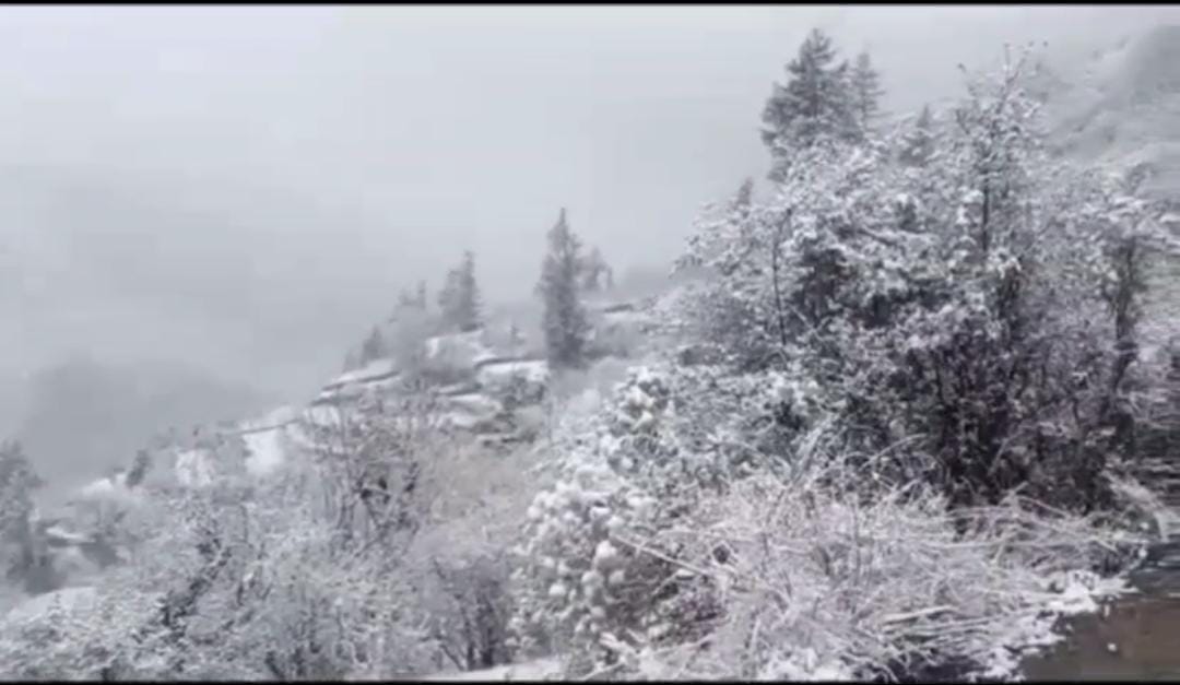 उत्तराखंड मौसम विज्ञान केंद्र ने उत्तराखंड में बारिश और बर्फबारी को लेकर पूर्वानुमान किया जारी