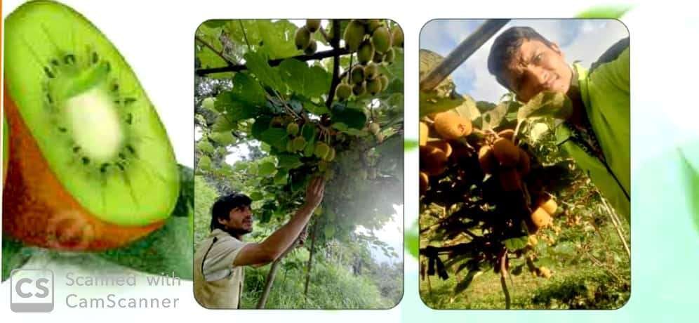 चमोली डीसीबी के 3 लाख के ऋण की मदद से 2 भाईयों की बदली किस्मत!
