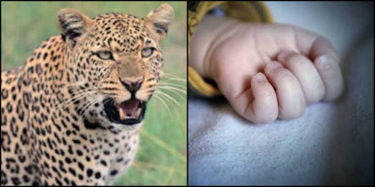 देहरादून में गुलदार का आतंक, 10 साल के मासूम को बनाया शिकार, मौत से कोहराम