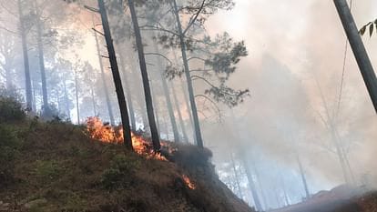 Uttarakhand Forest Fire: नेपाली मजदूर समेत सात को वनों में आग लगाते रंगे हाथ दबोचा, सभी पर मुकदमा, एक को जेल