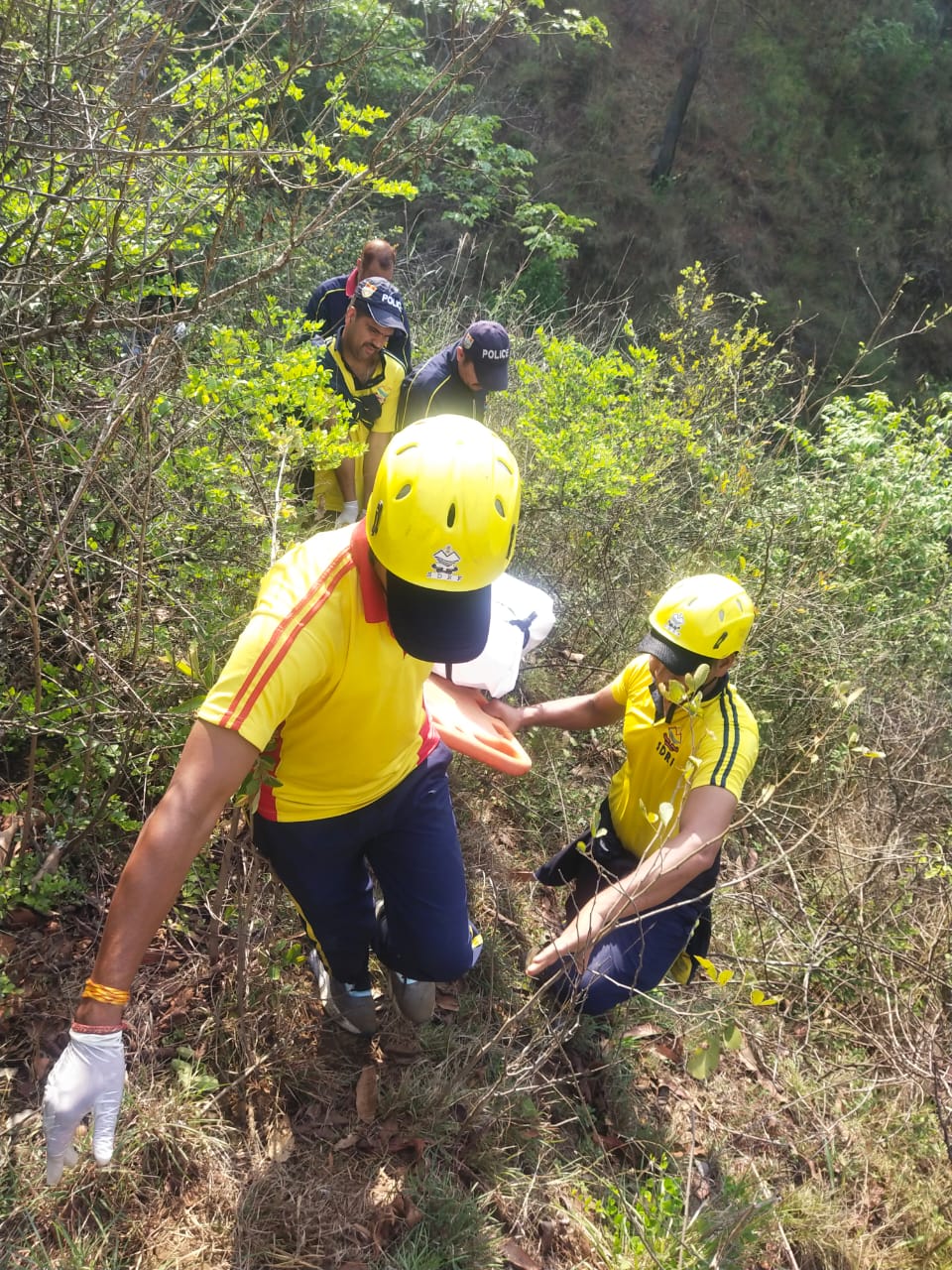 सल्ट क्षेत्रान्तर्गत एक कार हुई दुर्घटनाग्रस्त, तीन की मौत, एक घायल