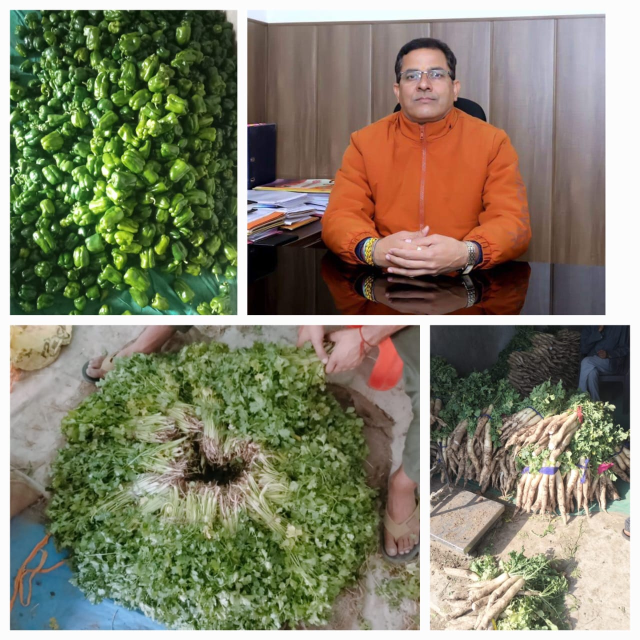 थत्यूड़ और अलमस में पीओएस केंद्रों से 8 लाख रुपये मूल्य की 38 मीट्रिक टन सब्जियां खरीद की!