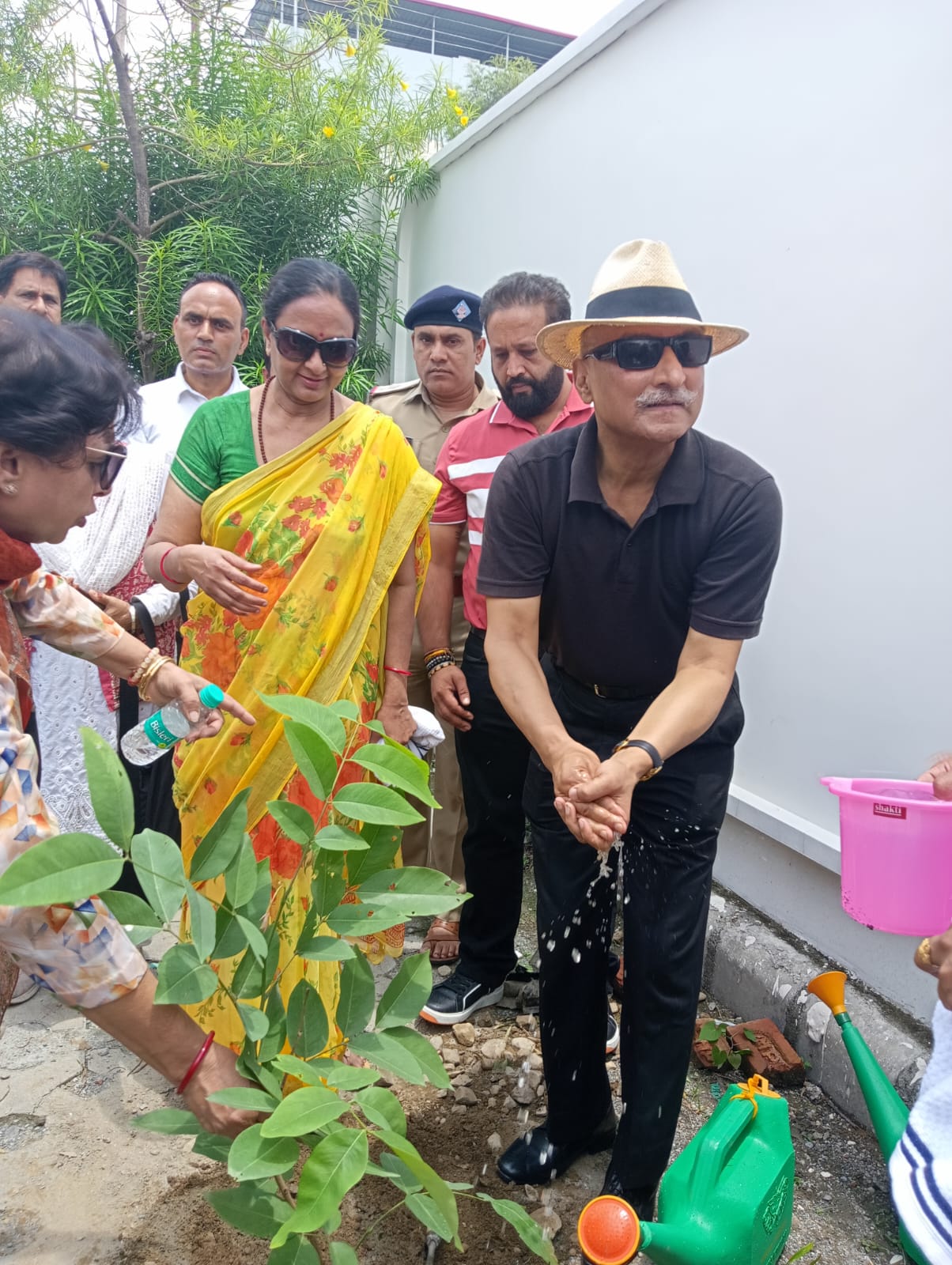 हरेला पर्व के अवसर पर मुख्य सचिव राधा रतूड़ी ने अमलतास ( Golden Shower Tree ) का वृक्षारोपण किया