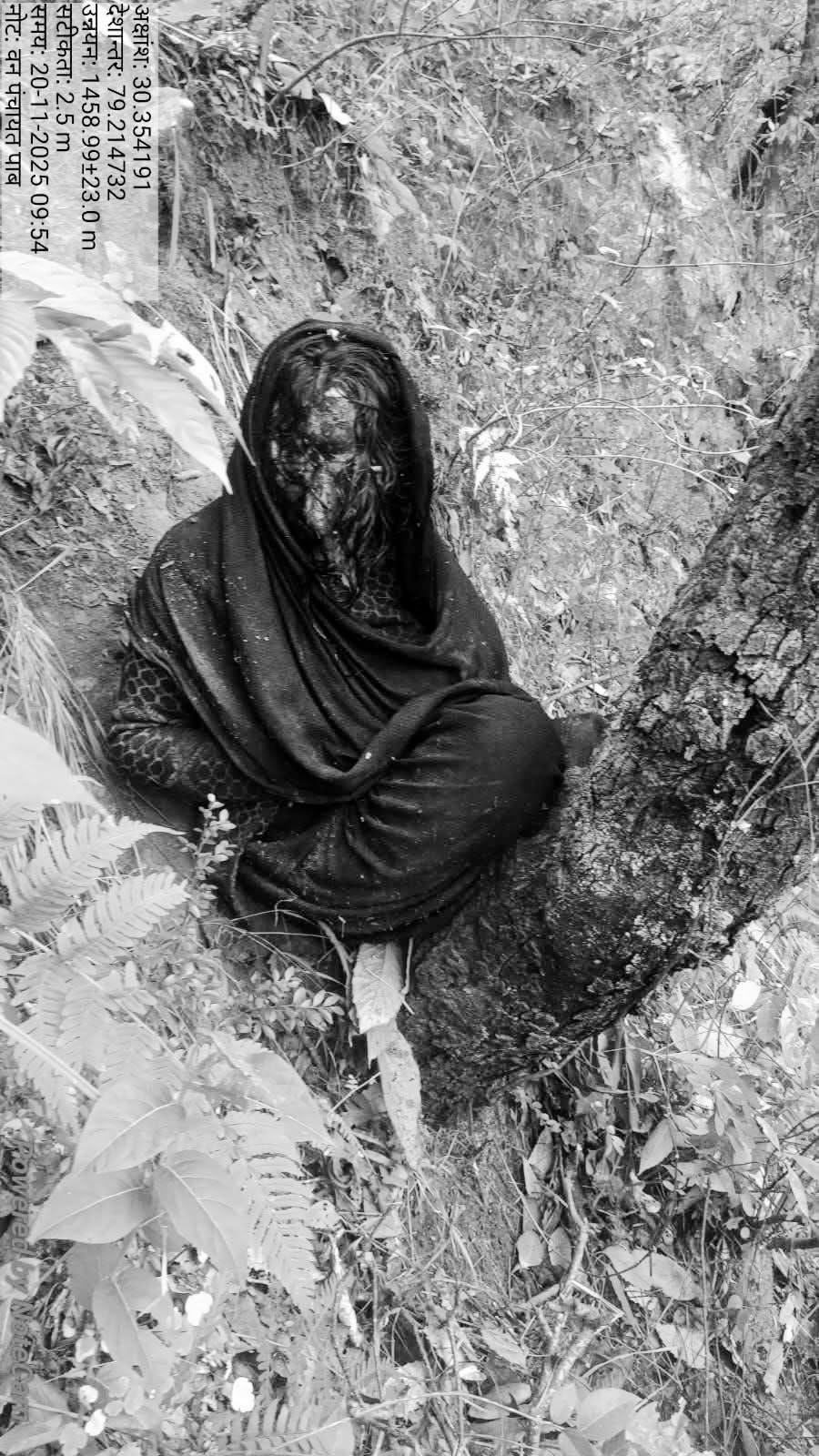 उत्तराखंड में फिर जंगल से दर्दनाक घटना: घास लेने गई महिला घायल अवस्था में मिली