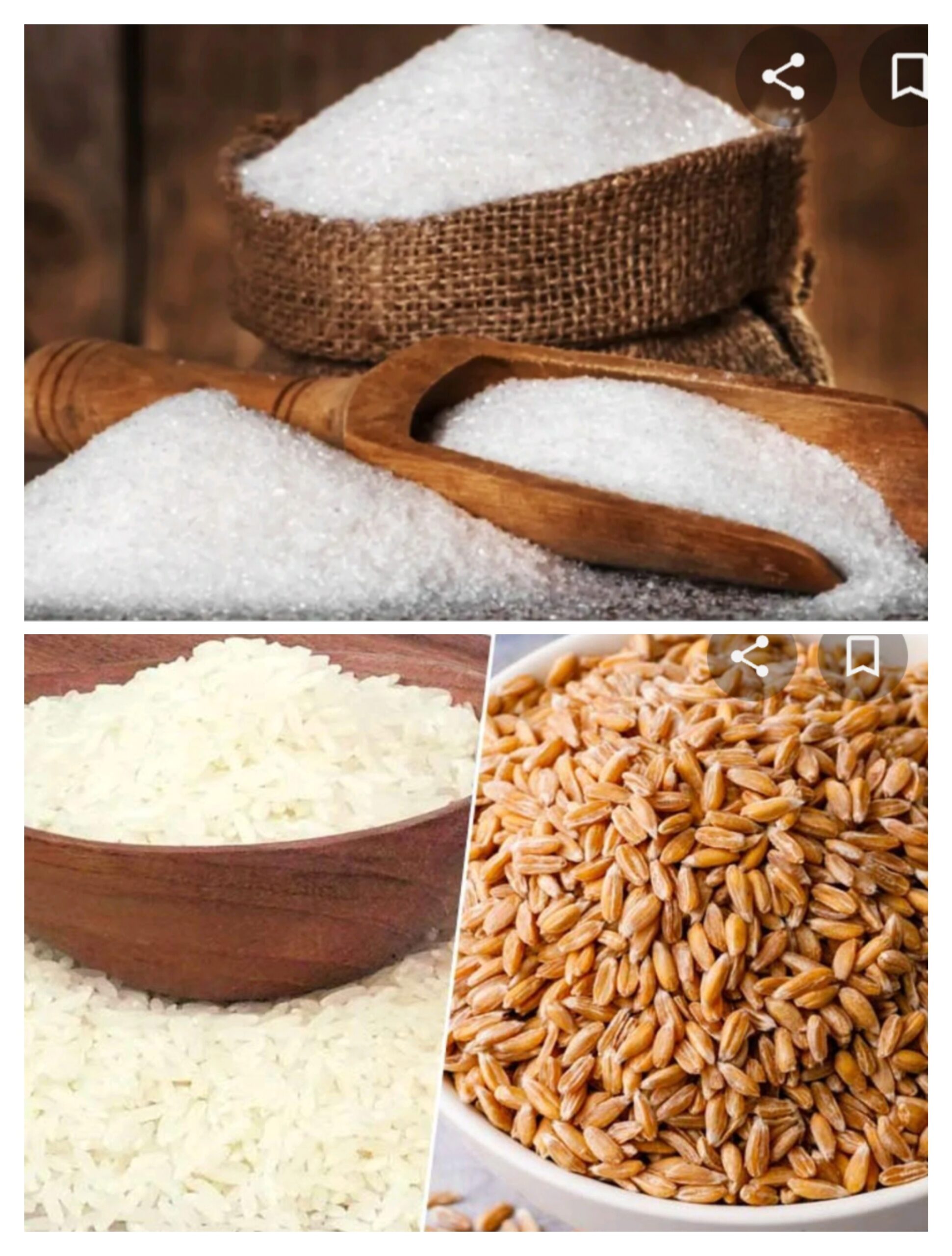 फ्री राशन बांटने को सरकार का नया फैसला, डिजिटल राशन कार्ड से मिलेगा मुफ्त का गेंहू-चावल और चीनी