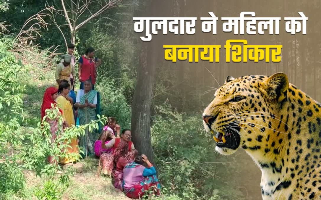 पौड़ी में गुलदार का हमला, घास काटने गई महिला को बनाया शिकार,