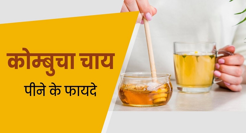 कोम्बुचा चाय पीने से सेहत को मिलते हैं बेमिसाल फायदे,,,,जानें इसकी रेसिपी....
