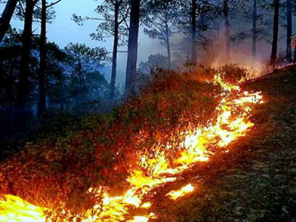 उत्तराखंड में वनों की आग बुझाने के लिए एनडीआरएफ़ के 50 जवानों को दी गई ट्रेनिंग: