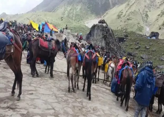 महंगी हुई घोड़ा-खच्चर और डंडी-कंडी से चाधाम यात्रा