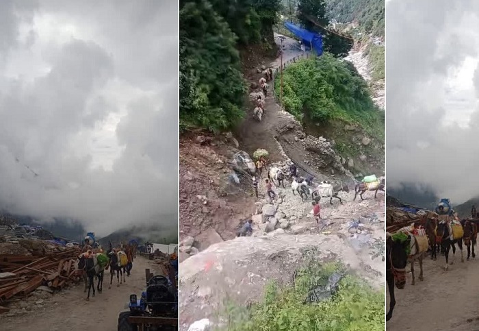 केदारनाथ मार्ग पर घोड़े-खच्चरों की आवाजाही शुरू