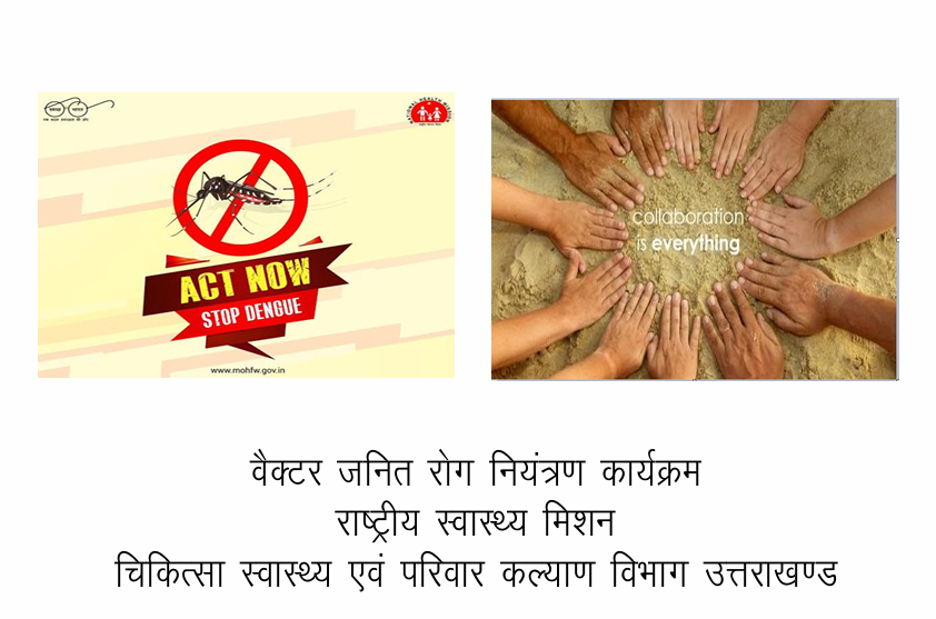 धामी सरकार की सख्ती: डेंगू नियंत्रण के लिए सभी विभाग एकजुट, स्वास्थ्य सचिव ने जारी की एडवाइजरी