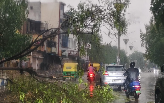 दिल्ली-एनसीआर में मौसम का कहर: आंधी-तूफान से पेड़ उखड़े, सड़कों पर जलभराव, यातायात ठप