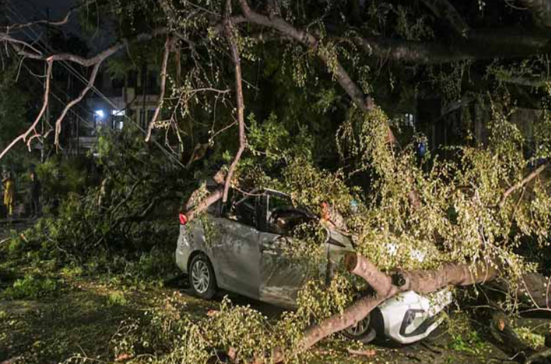 यूपी में आंधी-बारिश से भारी तबाही, 51 लोगों की मौत, बिजली आपूर्ति भी प्रभावित