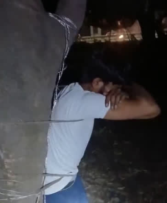 मंगलौर में लीची चोरी के आरोप में युवक को पेड़ से बांधकर बेरहमी से पीटा, तीन गिरफ्तार