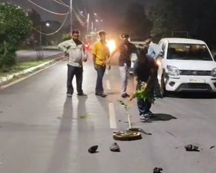 भेल मार्ग पर विशालकाय अजगर ने रोका ट्रैफिक, घंटों तक रही अफरातफरी