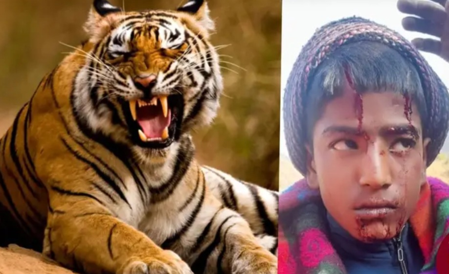 पेपर देने जा रहे 15 साल के कार्तिक पर गुलदार ने घात लगाकर किया हमला, क्षेत्र में दहशत
