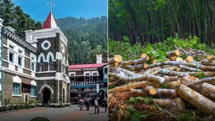 उत्तराखंड हाईकोर्ट का बड़ा फैसला: कॉर्बेट में पेड़ कटान और अवैध निर्माण मामले में सीबीआई जांच के आदेश
