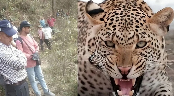 बड़ी ख़बर,,युवक की सिर कटी लाश झाड़ियों में मिली,,पूरे इलाके में दहशत..